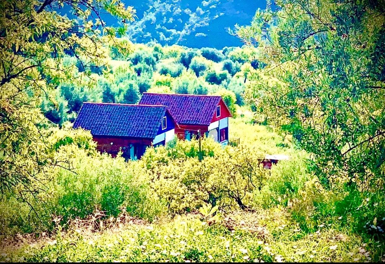 Apartamentos La Jayma Del Arte Asque Dış mekan fotoğraf