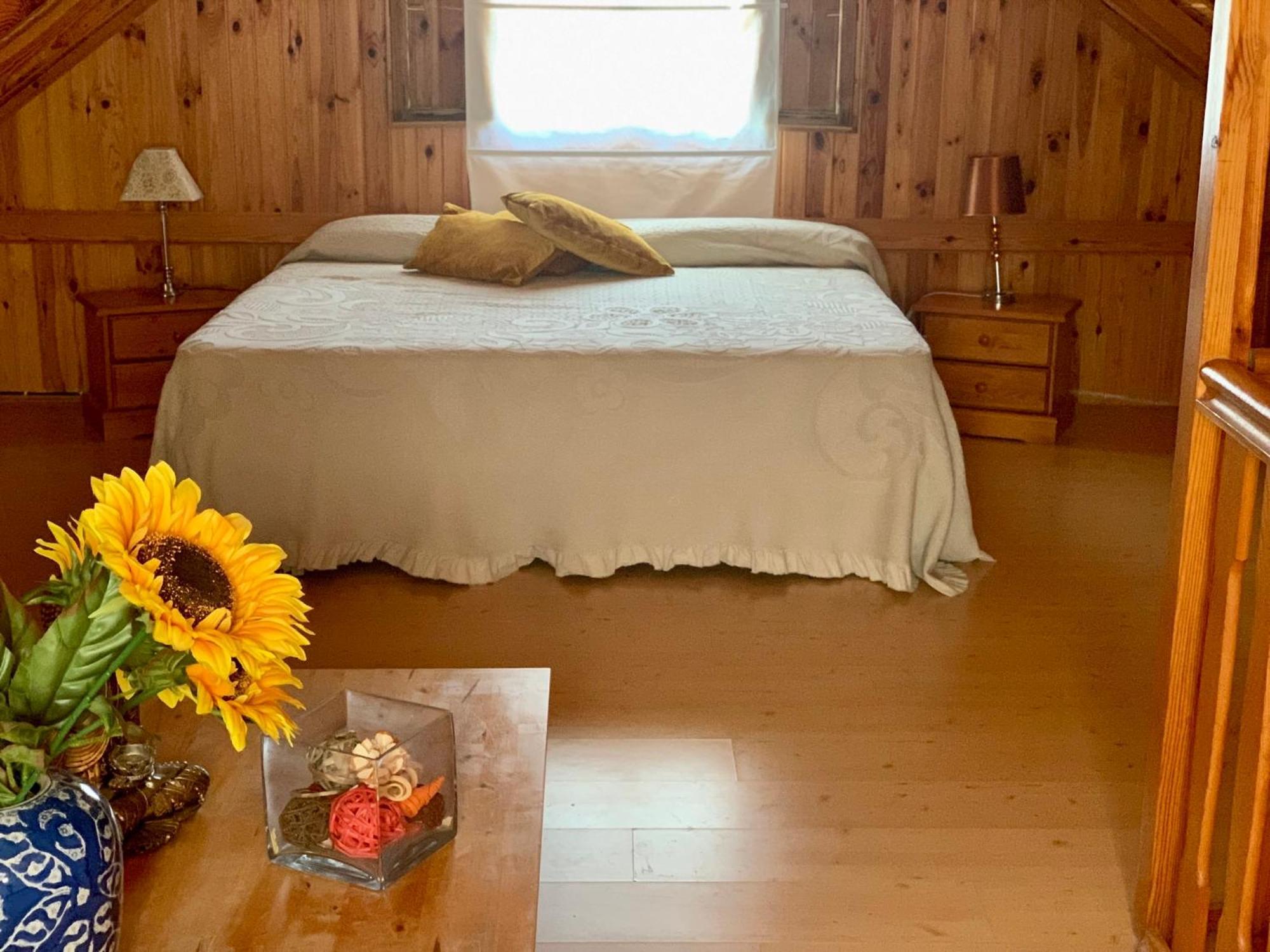 Apartamentos La Jayma Del Arte Asque Dış mekan fotoğraf